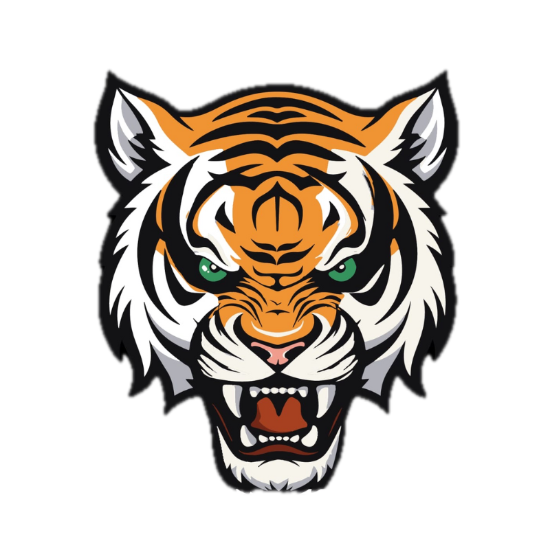 Logo tigre fight team toulon Jiu-jitsu brésilien